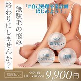 イリマ(Ilima)
