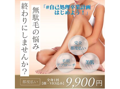 イリマ(Ilima)の写真