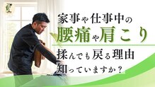 整体院 ヤモリの学校