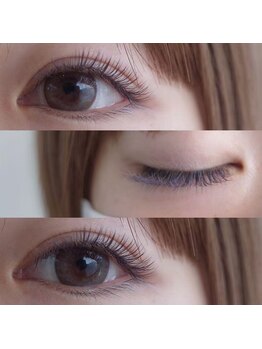 アンジェリックギンザ(Angelic Ginza)/カラーマツエク