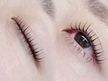 トップブロウ 京橋(TOP BROW)/まつ毛パーマデザイン