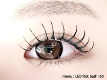 メメ(MEME)/LEDフラットラッシュ180本