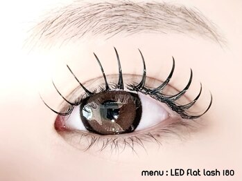 メメ(MEME)/LEDフラットラッシュ180本