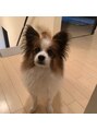 トータルビューティサロン スローティ ラテ 名古屋店 犬飼ってます。癒しです(^^)