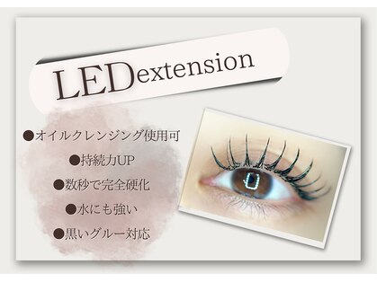 アニドット(ani.)の写真