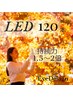 【LED】カラーOK★持続力1.5倍☆フラットラッシュ120本（オフ無料）