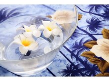 ハワイアンフォレストSpa 浜松店/ハワイのパワーが詰まった店内