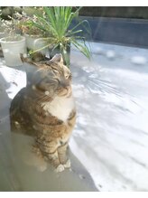 ルプティボヌール(le petit bonheur) さきえ