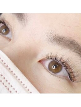 アンジュ(Ange)/ボリュームラッシュ