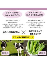 プレジャー 大手町本店(Pleasure)/脂肪燃焼力up【HRプロテイン】
