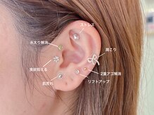 カメレオンネイル/耳ツボジュエリー