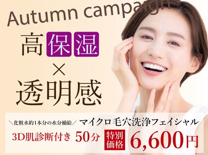 VS28スキンケアスタジオ バリイン 船橋(BALI IN)の写真