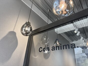 コンアニマ(Con anima.)の写真/【当店新規人気No.1】パリジェンヌor似合わせまつげパーマ¥7700→¥5500！当店の再来の方はずっとオフ無料♪