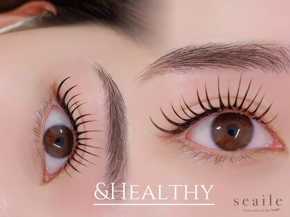 シール(seaile)の写真