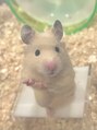 マーレネイル 高槻店(mare nail) ハムスターを飼っています♪名前はてんぷらちゃんです！