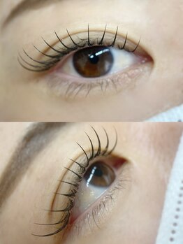 ムニ(muni)/LEDフラットラッシュ100本