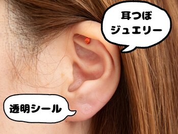 ポ/耳つぼシール　耳つぼジュエリー