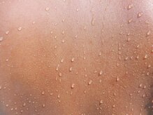 オルディーネ(ORUDiNE)