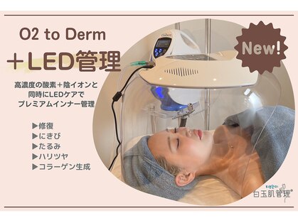 ナビ 長堀橋(NAVI)の写真