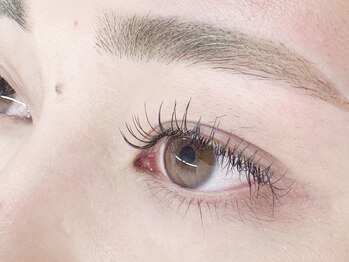 ビス(Vis)/美眉スタイリング+フラット100本