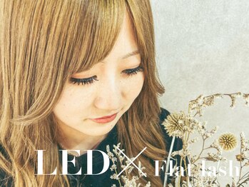 アイエン(aien)/マツエク/ラッシュリフト/LED