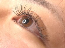 ラシク ベル(Lashiku Belle)/フラットラッシュ