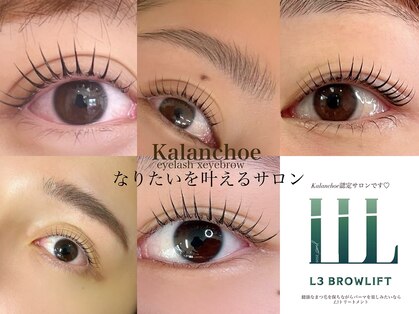 カランコエ(Kalanchoe)の写真