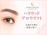 【HBL】ハリウッドブロウリフト（ワックス込み）　6500円→5000円