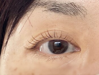 マギバイバディ 宇都宮店(magi by BUDDY)/ラッシュリフト/まつ毛パーマ