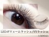 【人気No.2】LEDエクステ・YYラッシュ80束orボリュームラッシュ80束