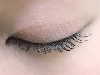 ループ アイラッシュ(Loop)/まつ毛カール　≪上≫2