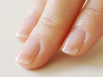 プリナチュール 札幌大通店