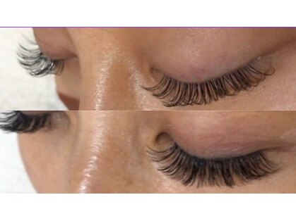 グランプリLashの写真