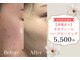 ベル(Belle)の写真