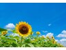 【夏休みキャンペーン】大人気フルコース2時間やり放題¥26,900→¥20,000