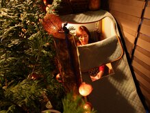 ハーティービーム(Hearty Beam)/