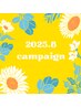 【8月限定キャンペーン】バインドロック80束★¥7,980
