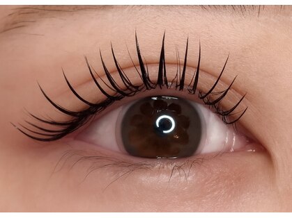 ベル(Belle)の写真