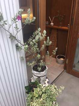 フセヤ &nbsp;エステティックアロマヨガスクール(FUSEYA)/サロンエントランス　2重扉