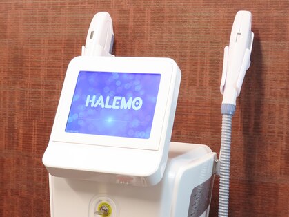 サファリ(Safari)の写真