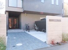 バイアス(BIAS)/外観