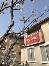 レディア 玉城サニーロード店(Re:Dear)/さくらんぼの木