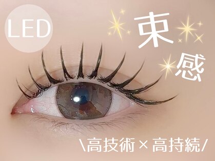 エル(Elle)の写真
