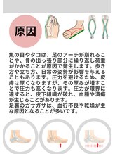 ピーアンドオー(P&O)/
