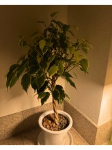 澪樹(mijyu)/ドライヘッドスパ