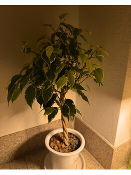 澪樹(mijyu)/ドライヘッドスパ