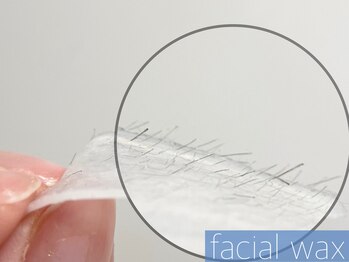 レーヴ(REVE)/フェイシャルワックス