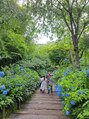 スキャプラ 鎌倉店(SCAPULA)&nbsp;明月院お花を見に行くのが好きです。