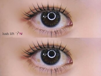 ミア 学芸大学(mia)/上下ラッシュリフト