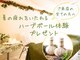 リラクゼーション穏穏 のんのん 新大阪 西中島南方の写真